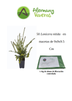 oferta 50 lonicera m10 200626